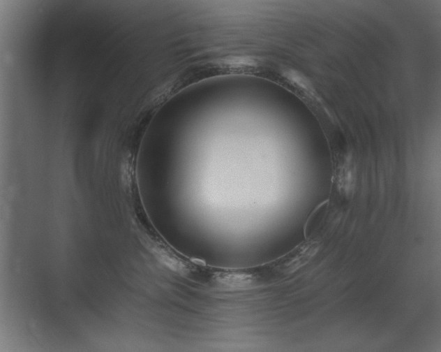 X0000071380476200606231250