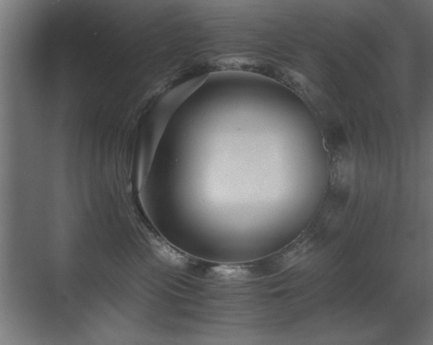 X0000071380477200606231250