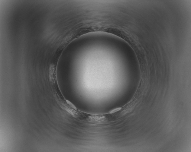 X0000071380480200606231250