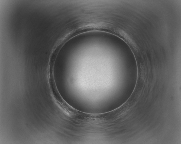 X0000071380486200606231250