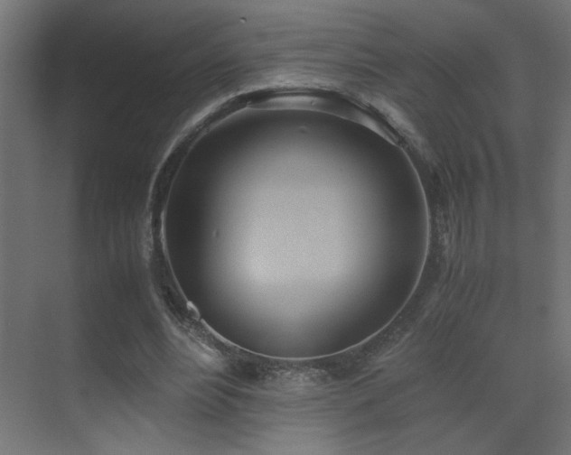 X0000071380488200606231250