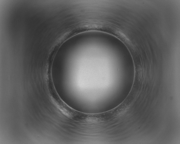 X0000071380490200606231250