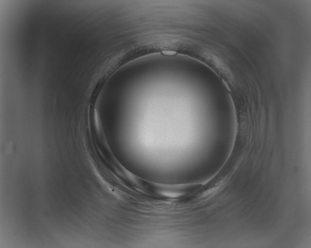 X0000071380493200606231249