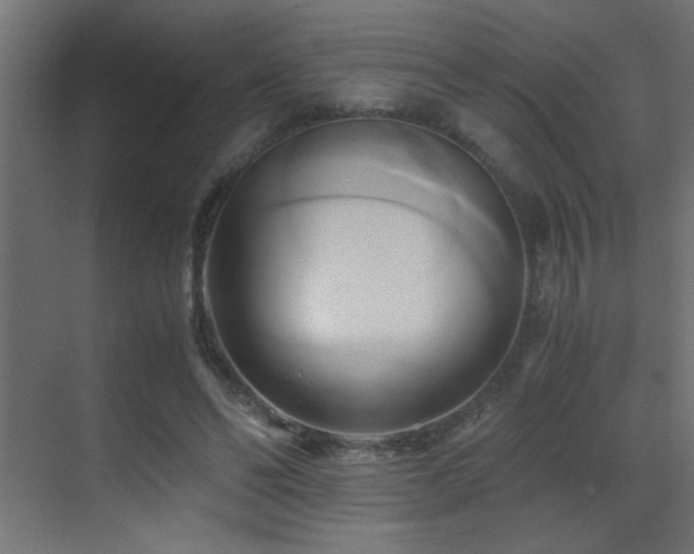 X0000071380494200606231249