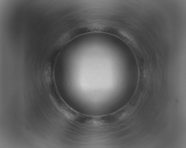 X0000071380498200606231249