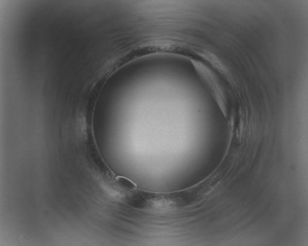 X0000071380500200606231249
