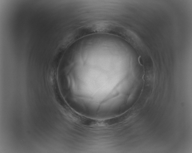 X0000071380503200606231249