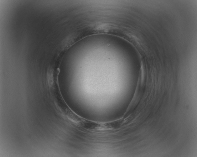 X0000071380504200606231249