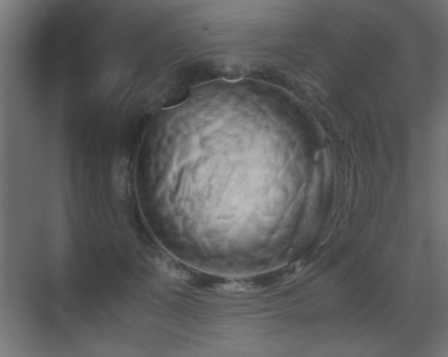 X0000071380511200606231249