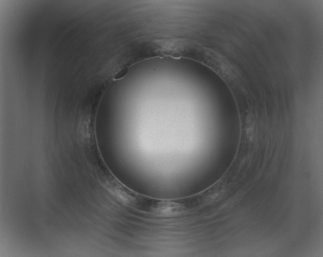 X0000071380514200606231249