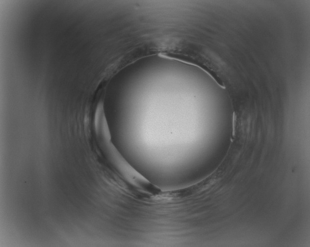 X0000071380516200606231249