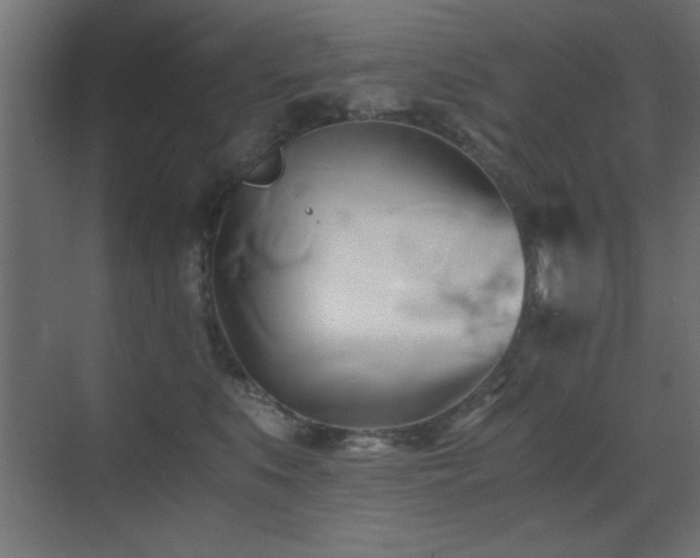 X0000071380519200606231249