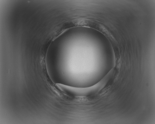 X0000071380521200606231249