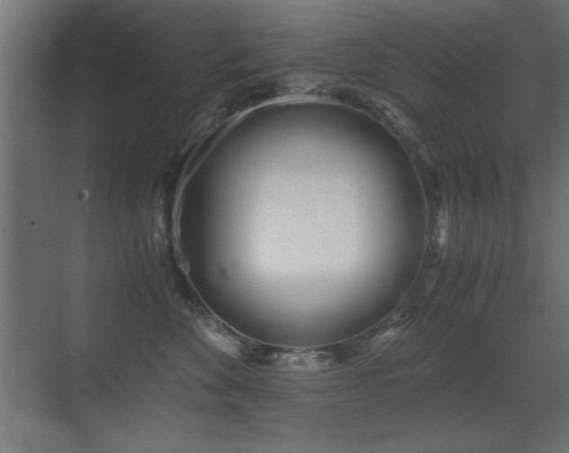 X0000071380524200606231249