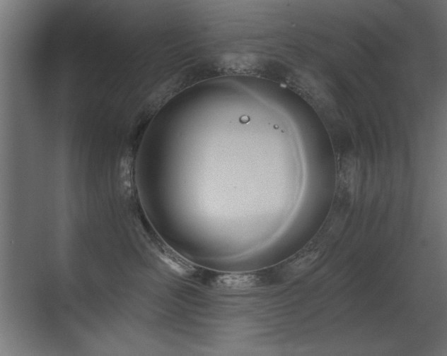 X0000071380526200606231249