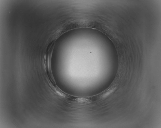 X0000071380528200606231249
