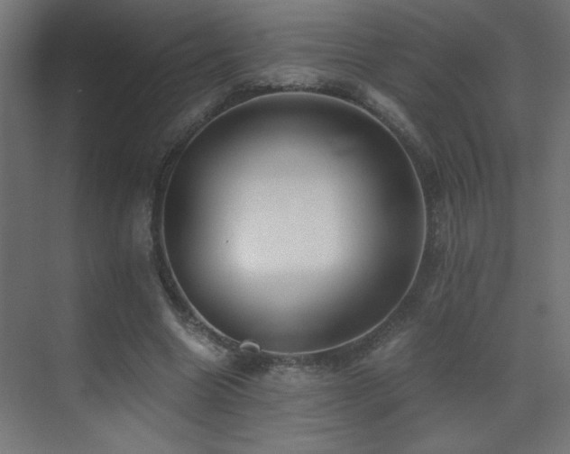 X0000071380538200606231248