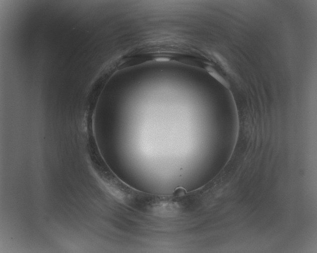 X0000071380543200606231248