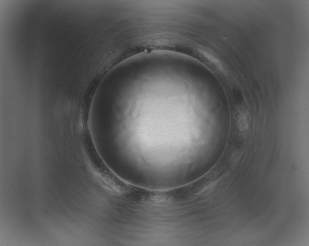 X0000071380546200606231248