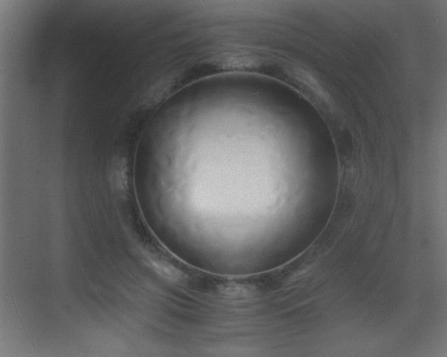 X0000071380549200606231248