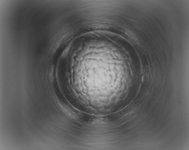 X0000071380550200606231248