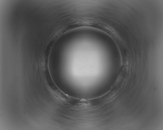 X0000071380552200606231248