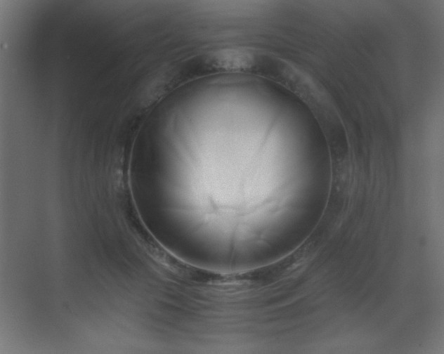 X0000071380553200606231248