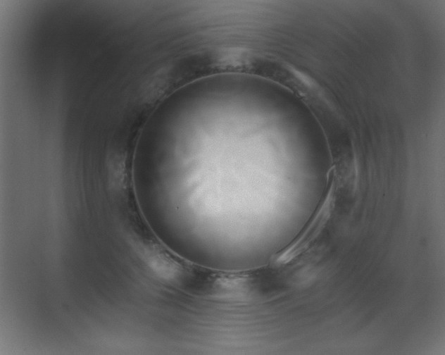 X0000071380560200606231249