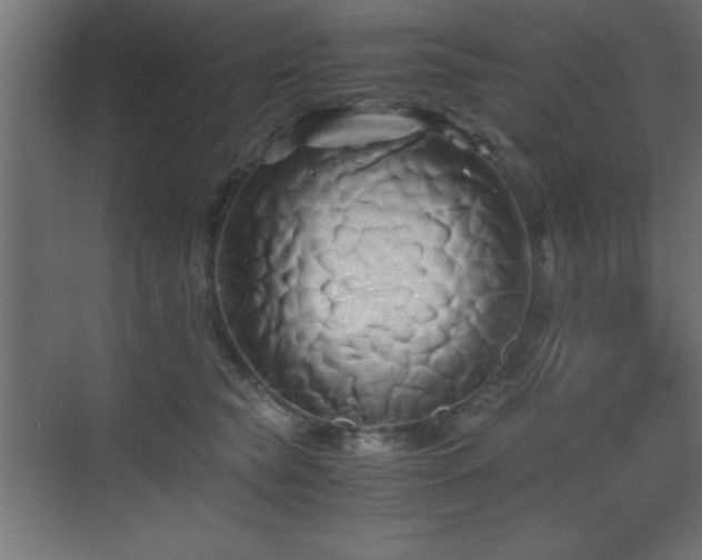 X0000071380565200606231249