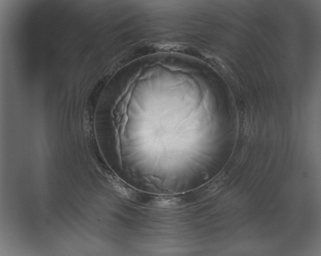 X0000071380569200606231249