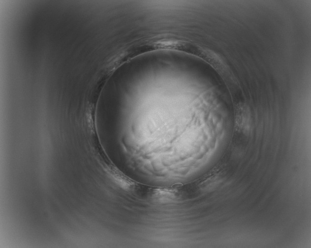 X0000071380573200606231249
