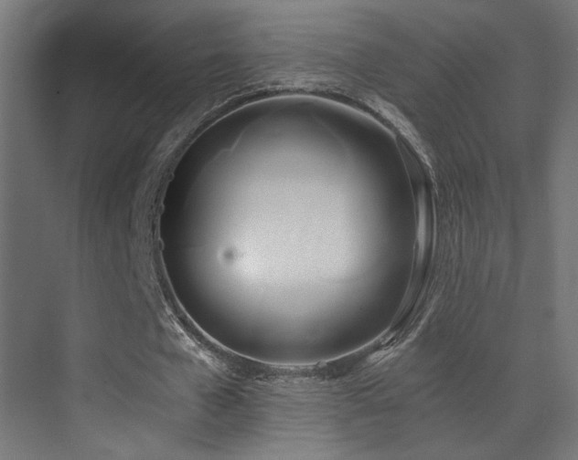 X0000071380577200606231248