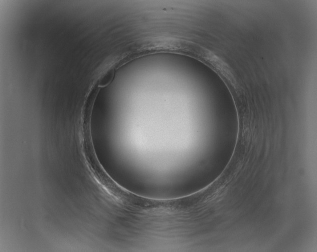 X0000071380578200606231248