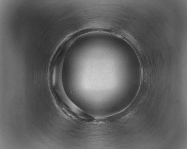 X0000071380580200606231248