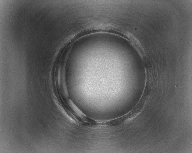 X0000071380581200606231248