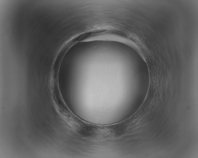 X0000071380583200606231248