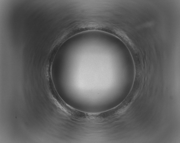 X0000071380585200606231248