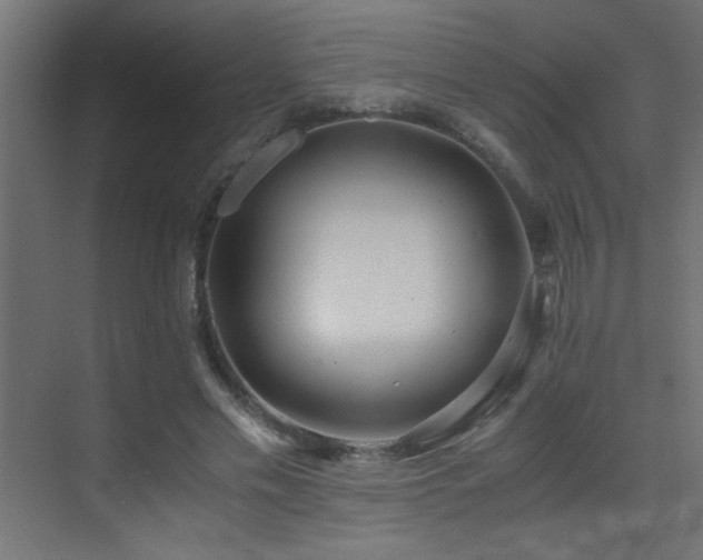 X0000071380589200606231248