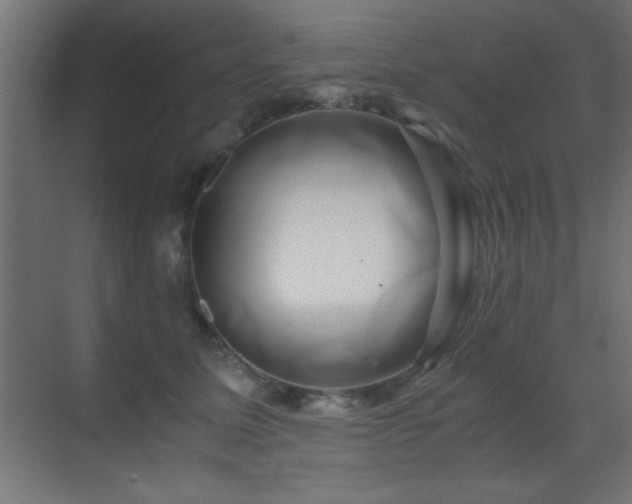X0000071380611200606231248