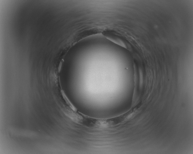 X0000071380613200606231247