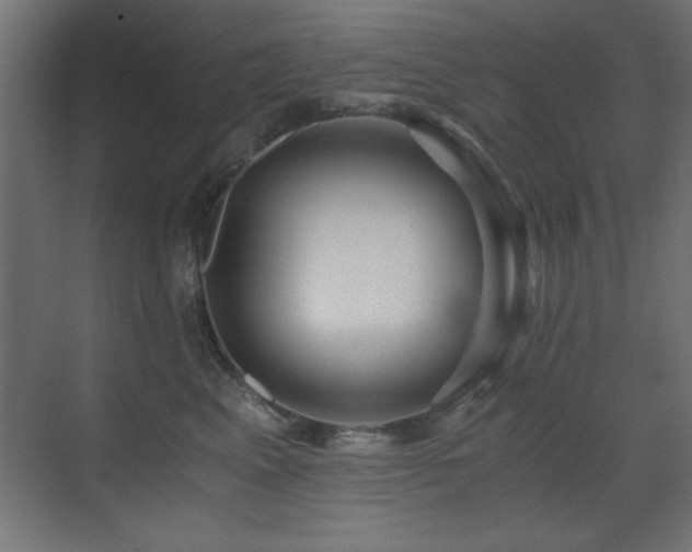X0000071380617200606231247