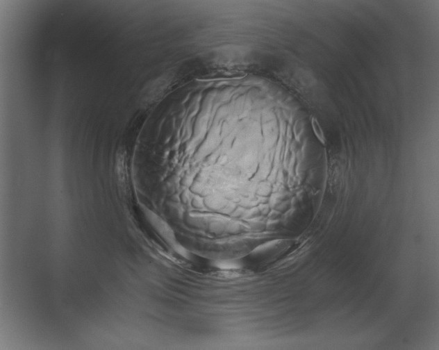 X0000071380623200606231247