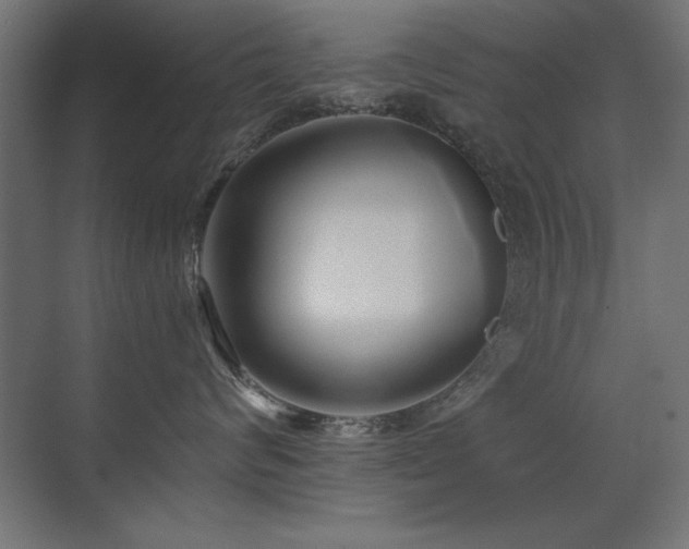 X0000071380624200606231247