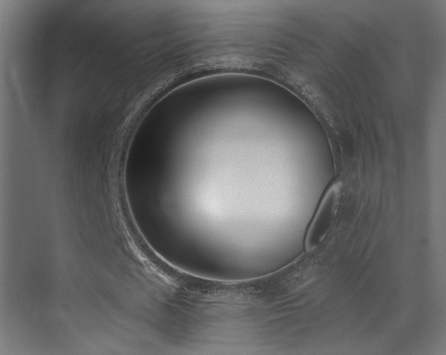 X0000071380625200606231246