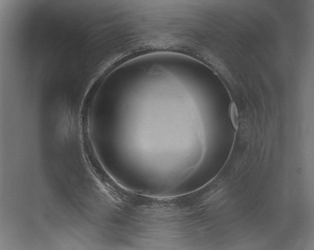 X0000071380626200606231246