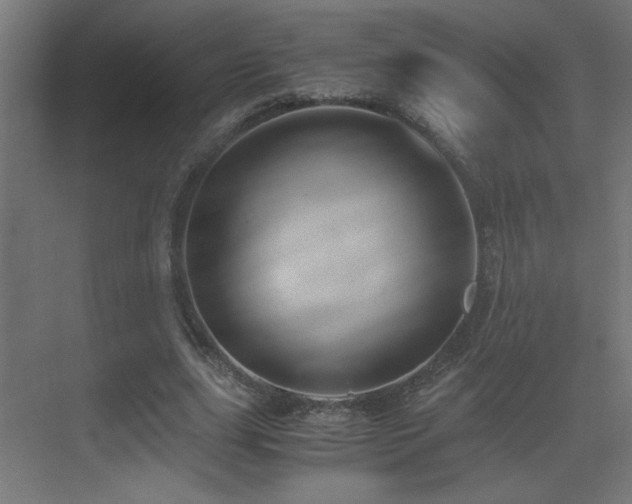 X0000071380631200606231247