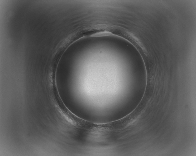 X0000071380633200606231247