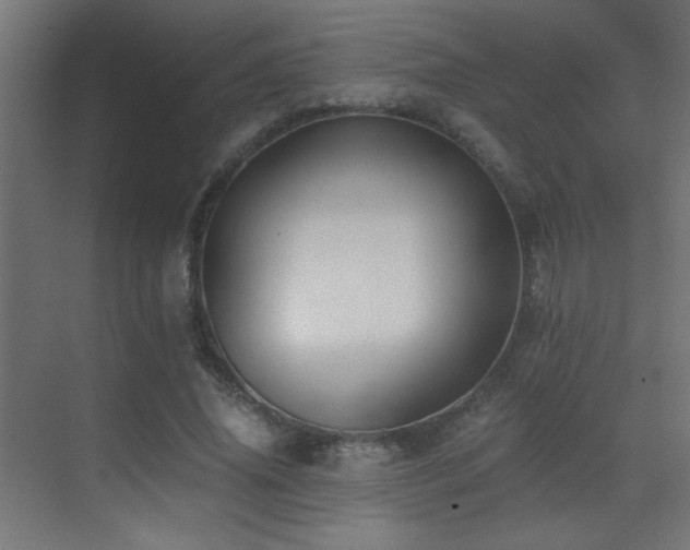 X0000071380636200606231247