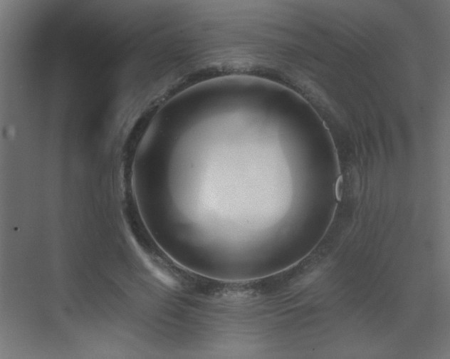 X0000071380638200606231247