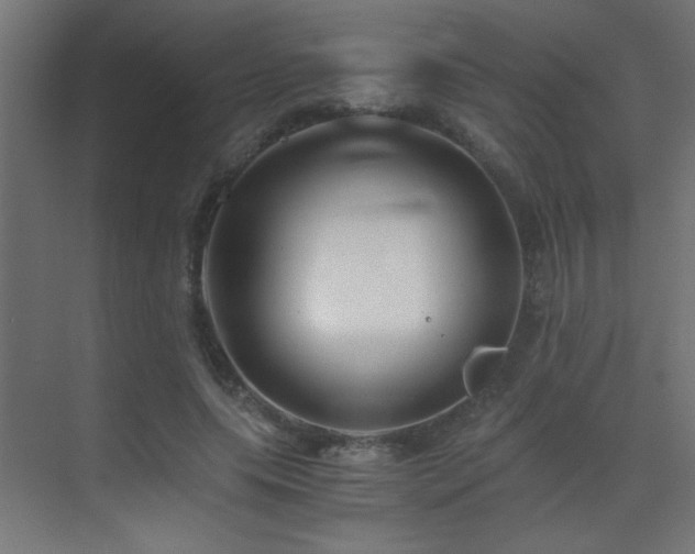 X0000071380639200606231247